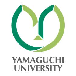 gold 11 yamaguchi